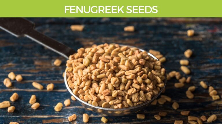 Fenugreek seeds for Blood Sugar Balance