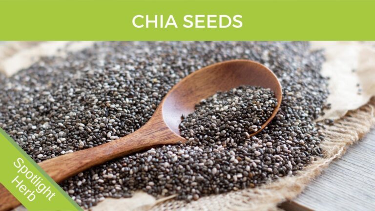Chia seeds probiotic fibre and gut health