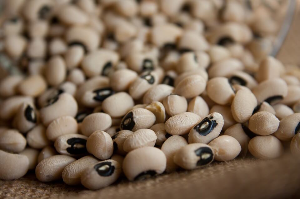 White Kidney Beans white kidney beans