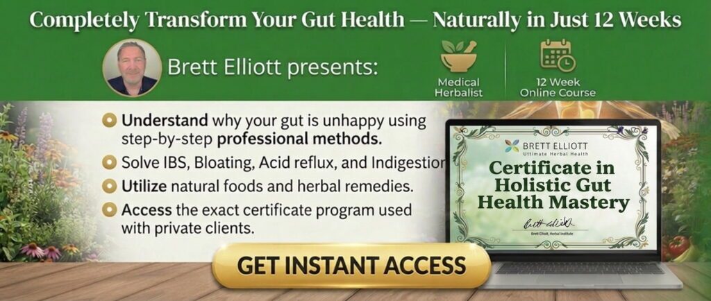 Holistic Gut Health Mastery Online Herbal Course
