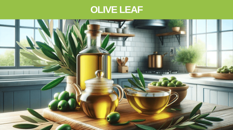 Olive leaf tea