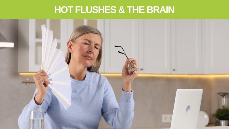 Hot Flushes & The Brain