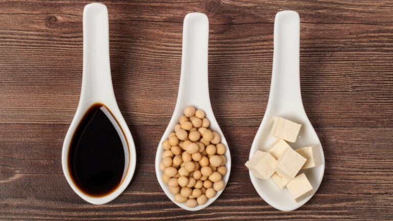 Soya-foods and menopause