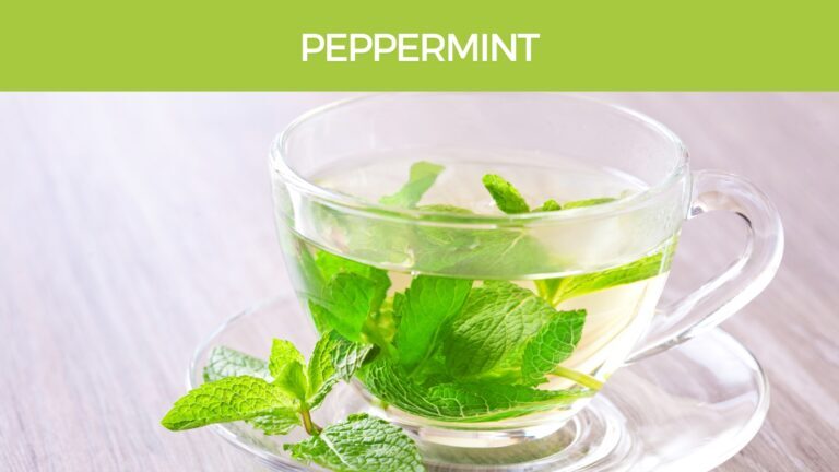 Peppermint tea for irritable bowel syndrome