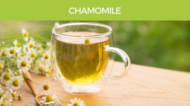 chamomile tea for heartburn, acid reflux, Crohns and IBS