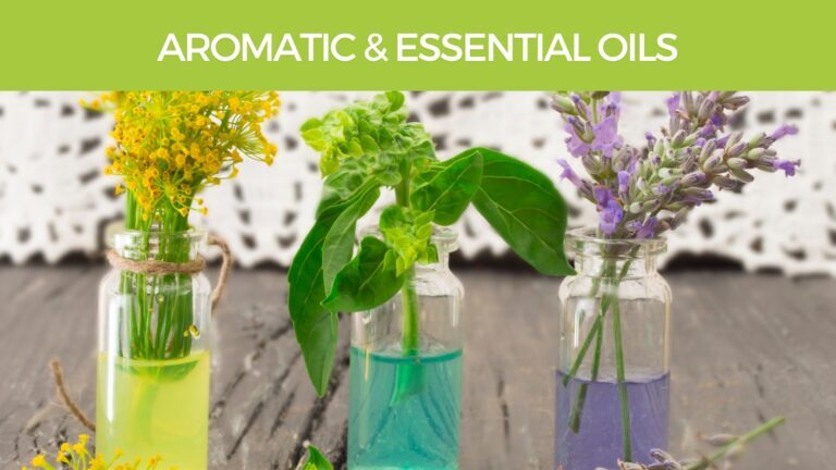 Aromatic herbs and essential oils