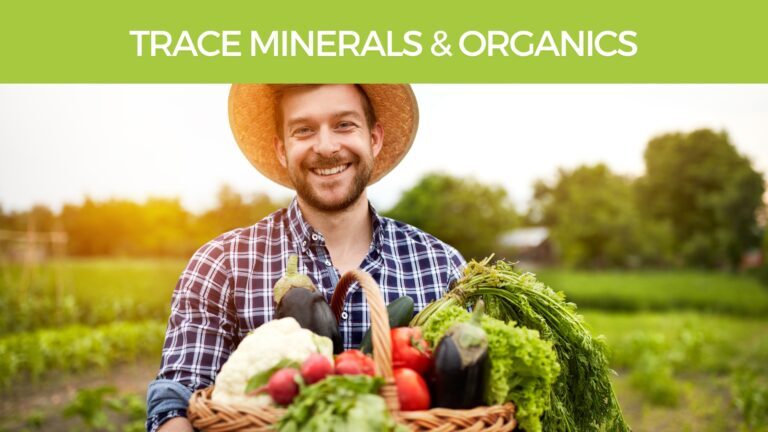 Organic vegetables rich in trace minerals