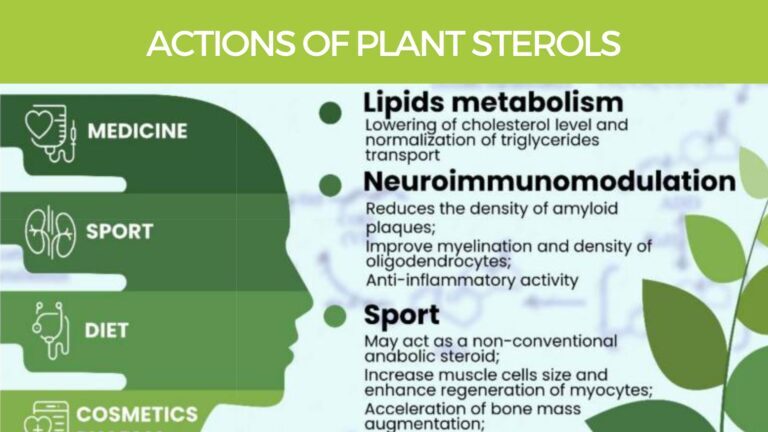 Plant sterols and steroids in food