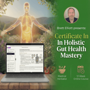 Certificate In Gut Health Mastery