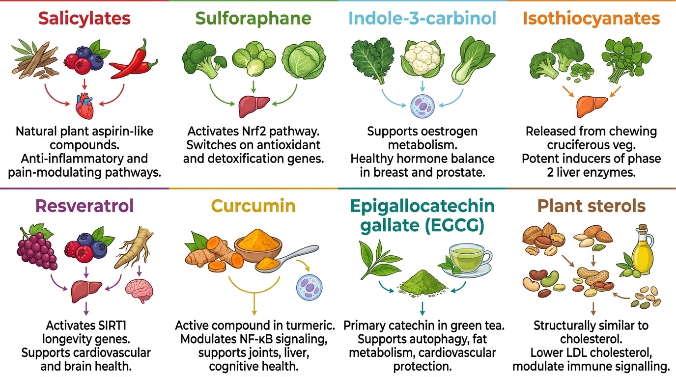 Plant Signalling Molecules