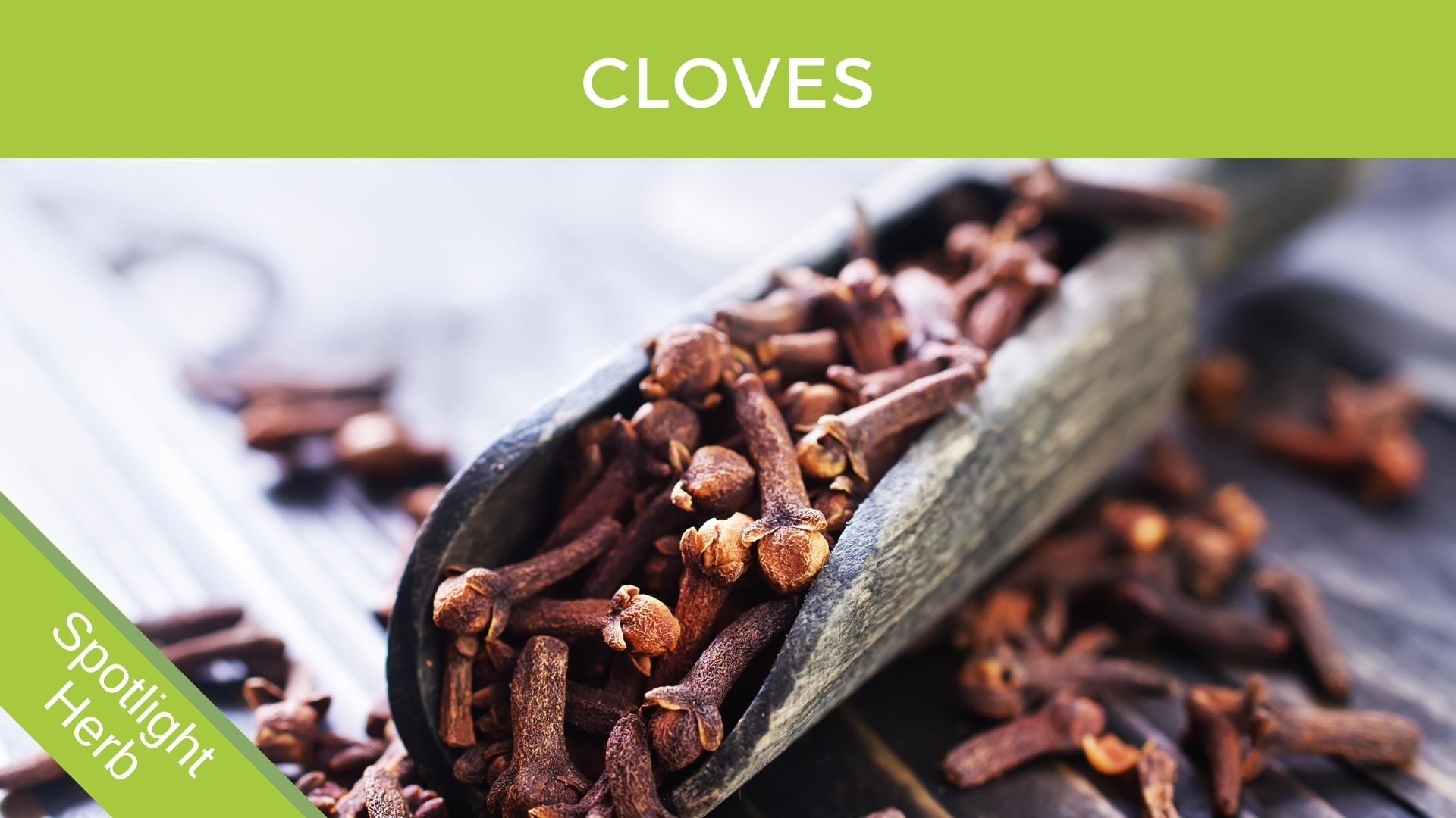 Clove bud as an antimicrobial