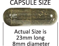 Dimentions of the Detox capsules detox capsule dimensions