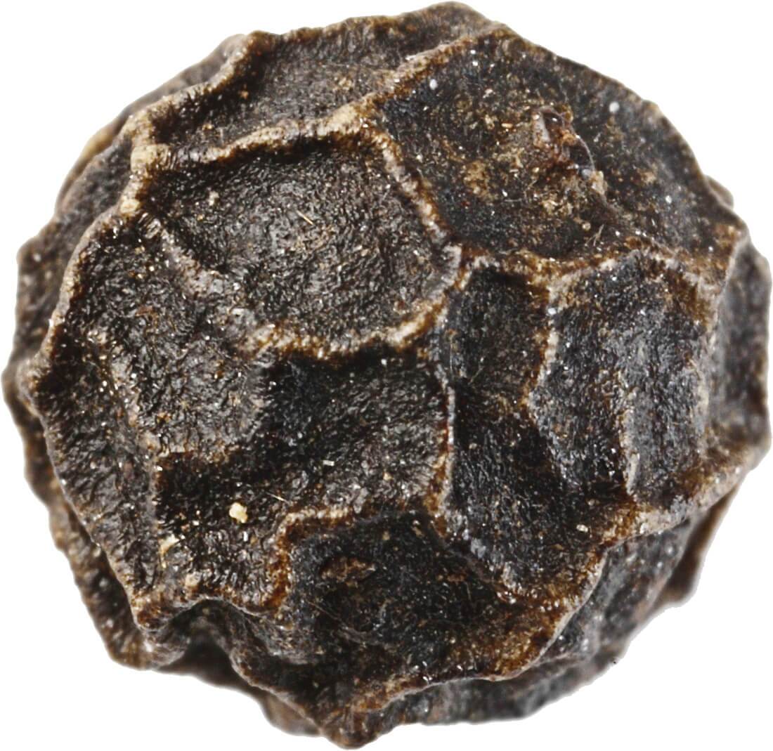 Black Pepper for weight loss black pepper for weight loss