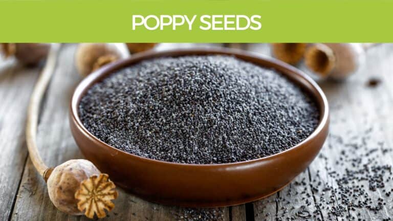 Poppy Seeds nutritional benefits