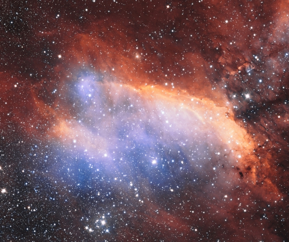 cosmos