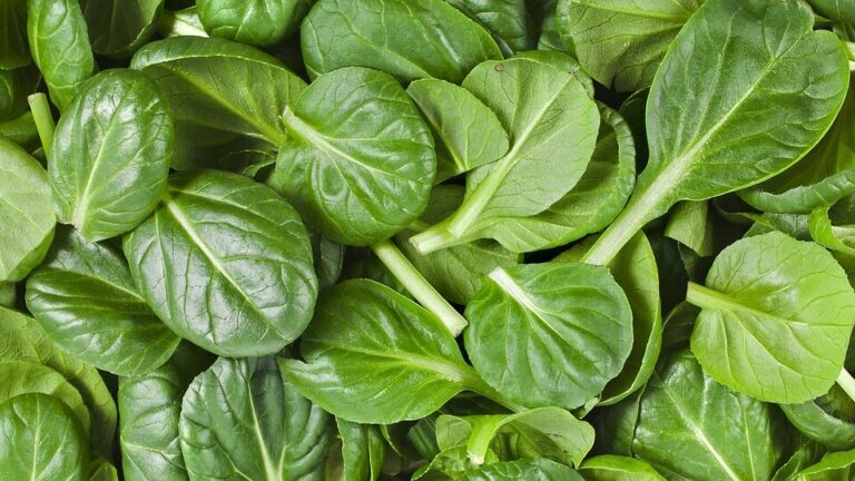 spinach for boosting metabolism