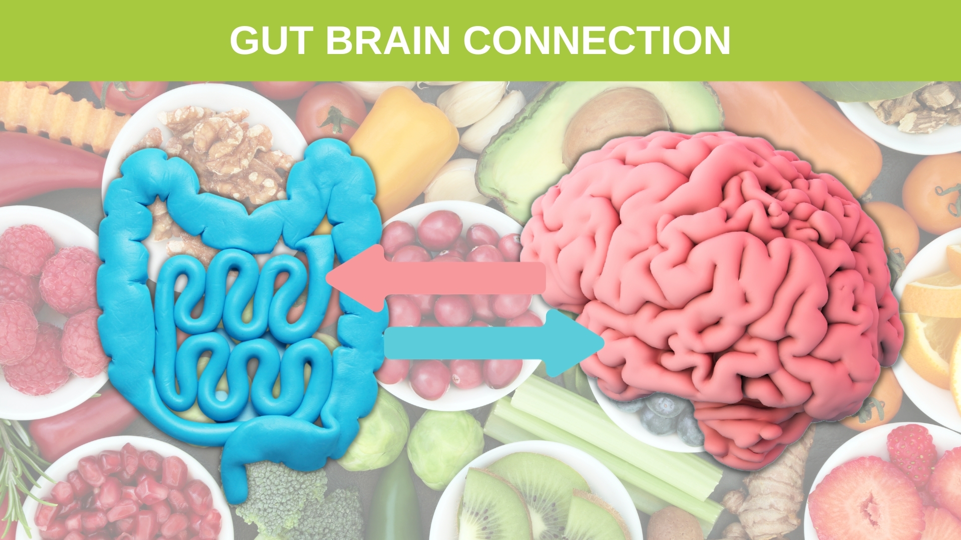 The Gut Brain connection
